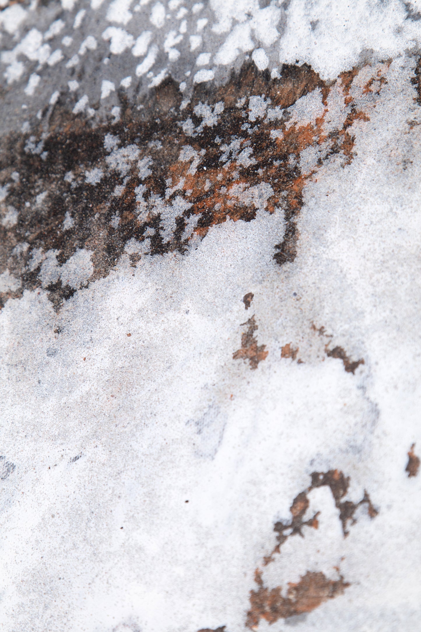 No. 23 - 55 (120 x 200 cm || 47.2 x 78.7 in)